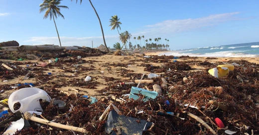 Wie wir den Planet Plastik verhindern können