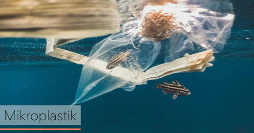 Was ist eigentlich Mikroplastik?
