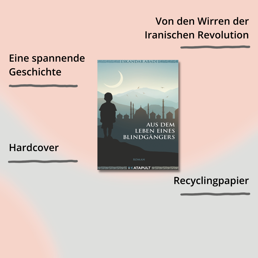 Aus dem Leben eines Blindgängers Cover mit Impact