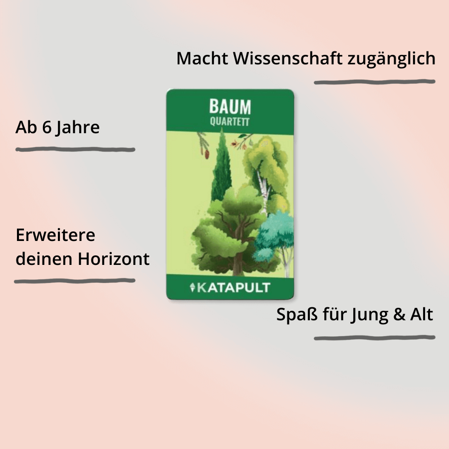 Baum-Quartett mit Impact