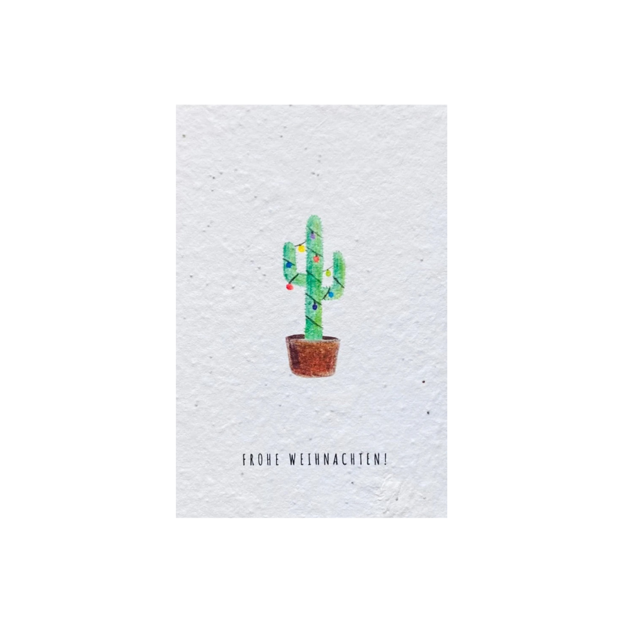 Einpflanzbare Postkarte – Weihnachten von BlühWerk Papeterie – Kaktus vor weißem Hintergrund