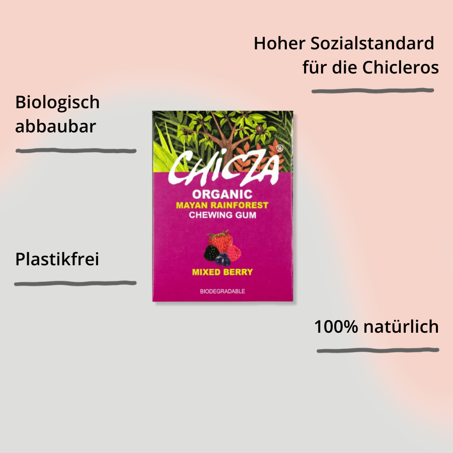 Chicza Kaugummi Mixed Berry – 12 Stück mit Impact