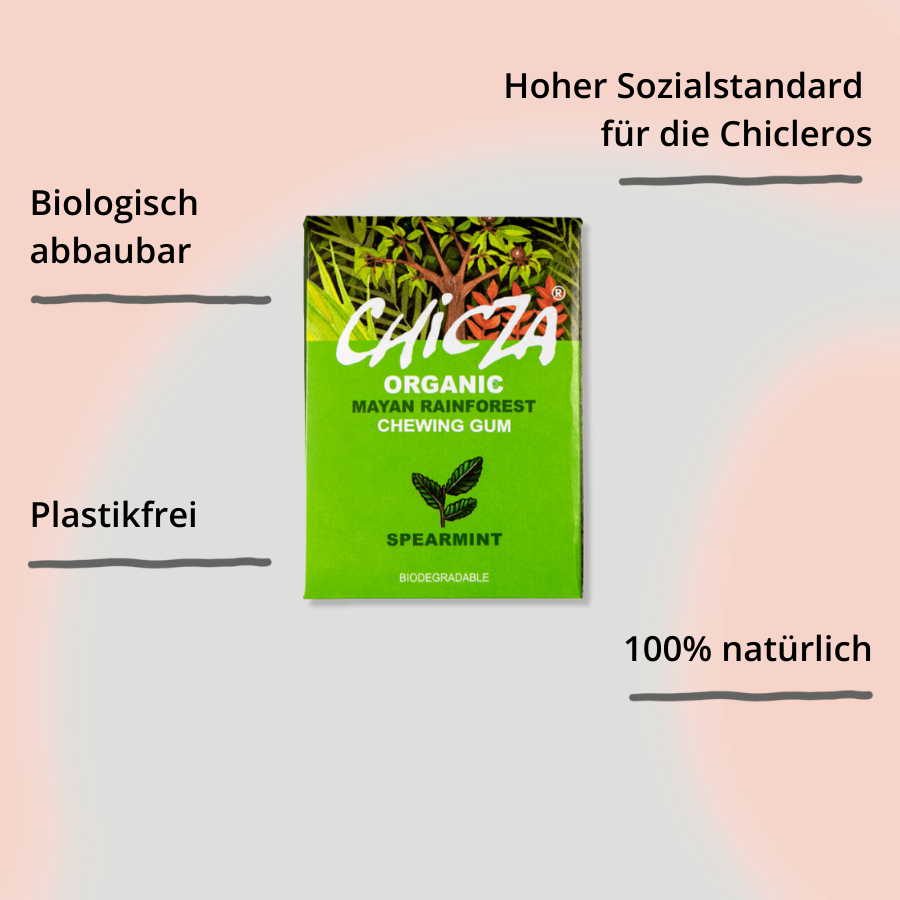 Chicza Kaugummi Spearmint – 12 Stück mit Impact