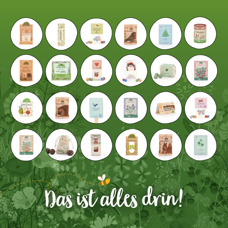 Adventskalender 2025 von Die Stadtgärtner – Inhalt