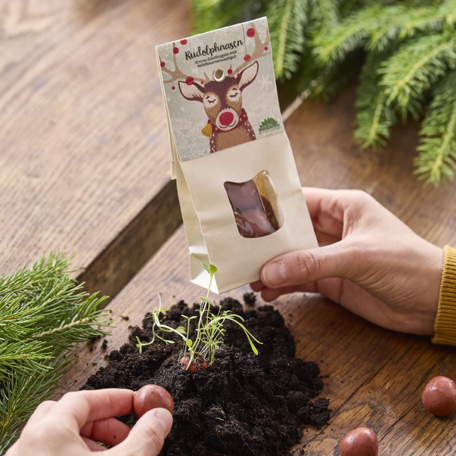 Person hält Weihnachtliche Blumenmurmeln von Die Stadtgärtner "Rudolphnasen" in der Hand
