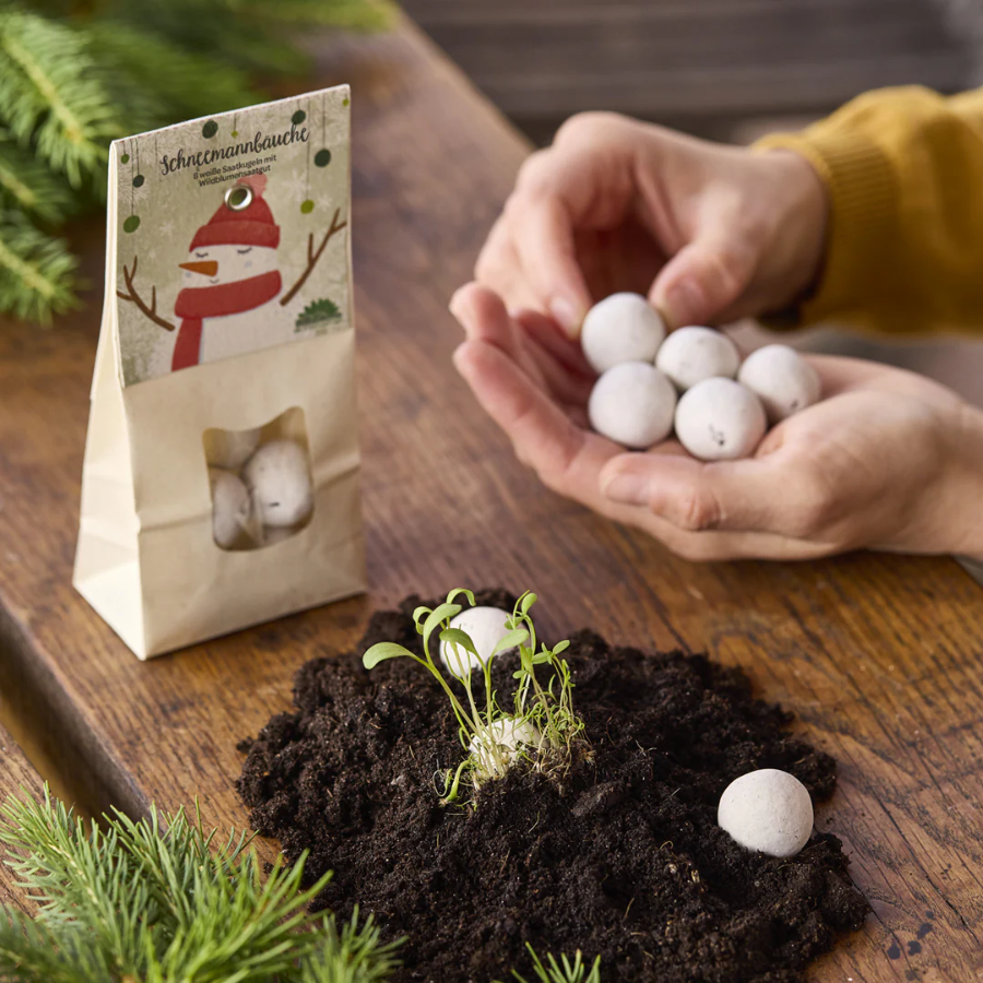 Person pflanzt die Weihnachtliche Blumenmurmeln von Die Stadtgärtner "Schneemannbäuche" an