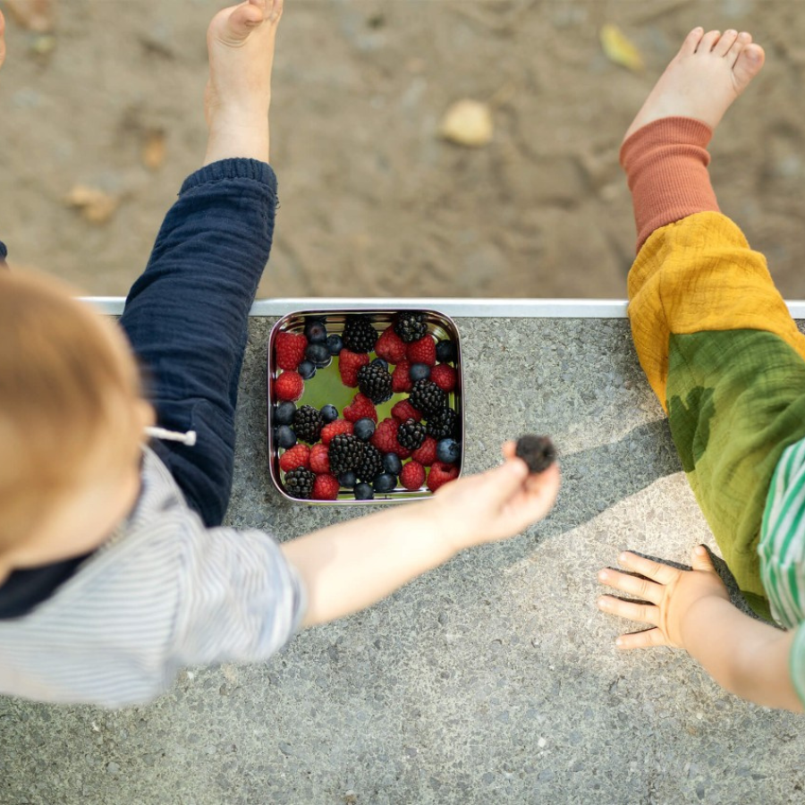 Kinder essen Obst aus der ECO Brotbox Classic