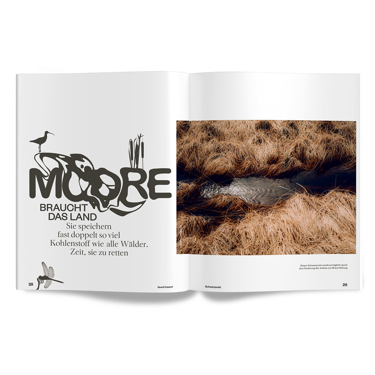 #10 – Moore braucht das Land