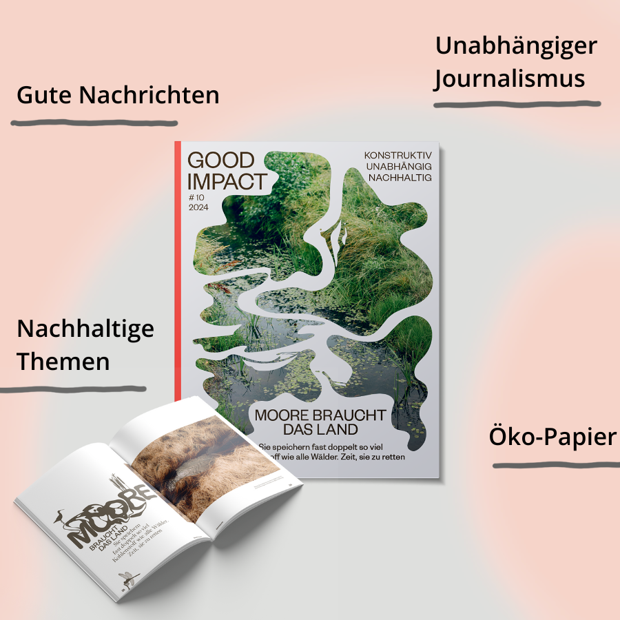#10 – Moore braucht das Land