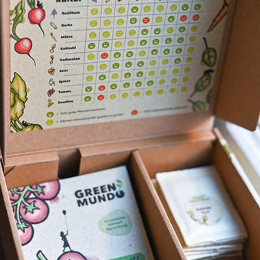 Green Mundo Saatgut-Set Easy Veggies Verpackung geöffnet