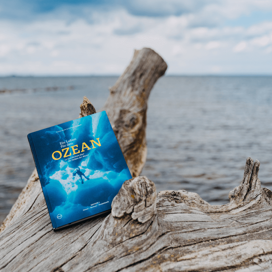 Ein Leben für den Ozean – steht am Strand auf einem Baumstumpf