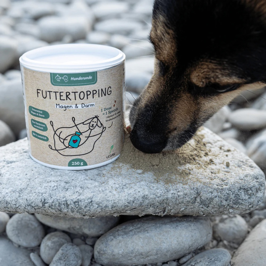 Futtertopping – Magen & Darm von Hunderunde. Dose steht auf einem Stein und ein Hund leckt das Pulver vom Stein