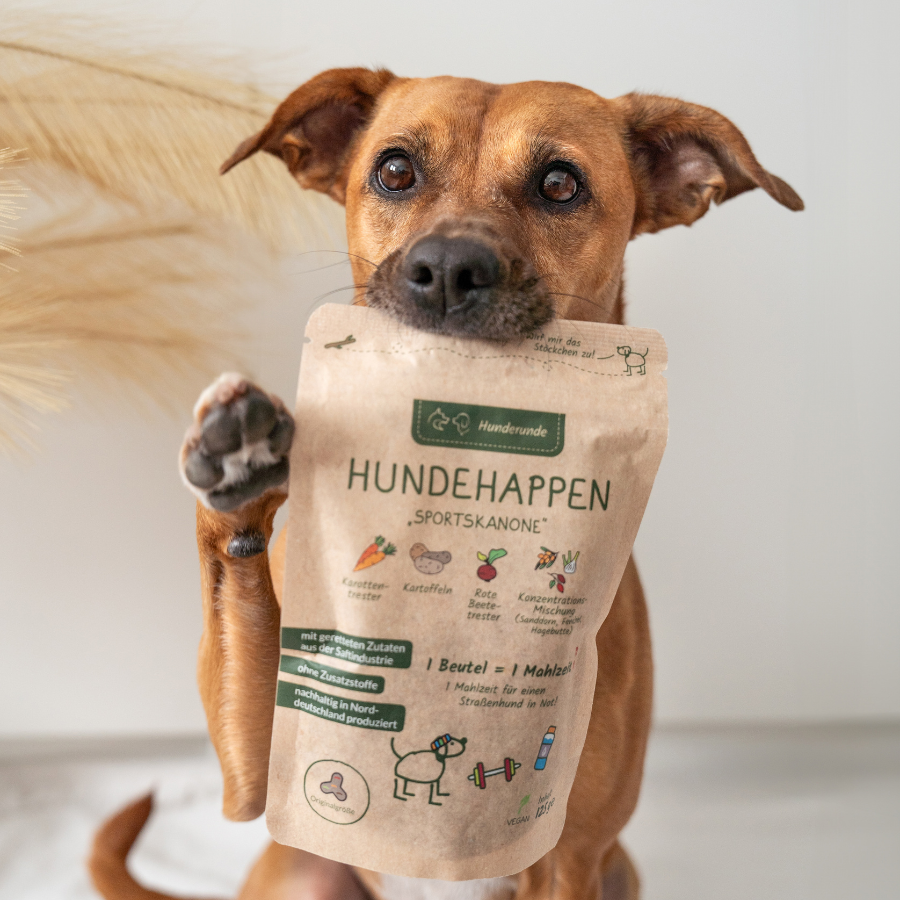 Hund hält Sportskanone Verpackung im Maul