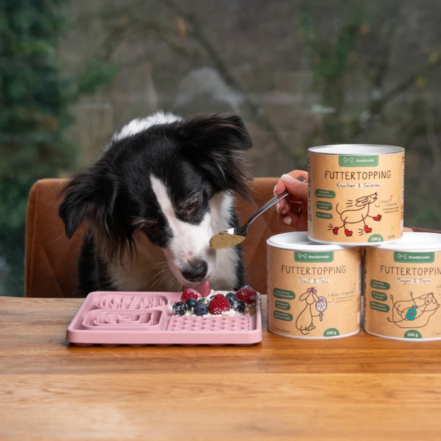Ein Hund schleckt von der Schleckmatte von Hunderunde Obst und Leckerlis – daneben stehen die Futtertoppings von Hunderunde