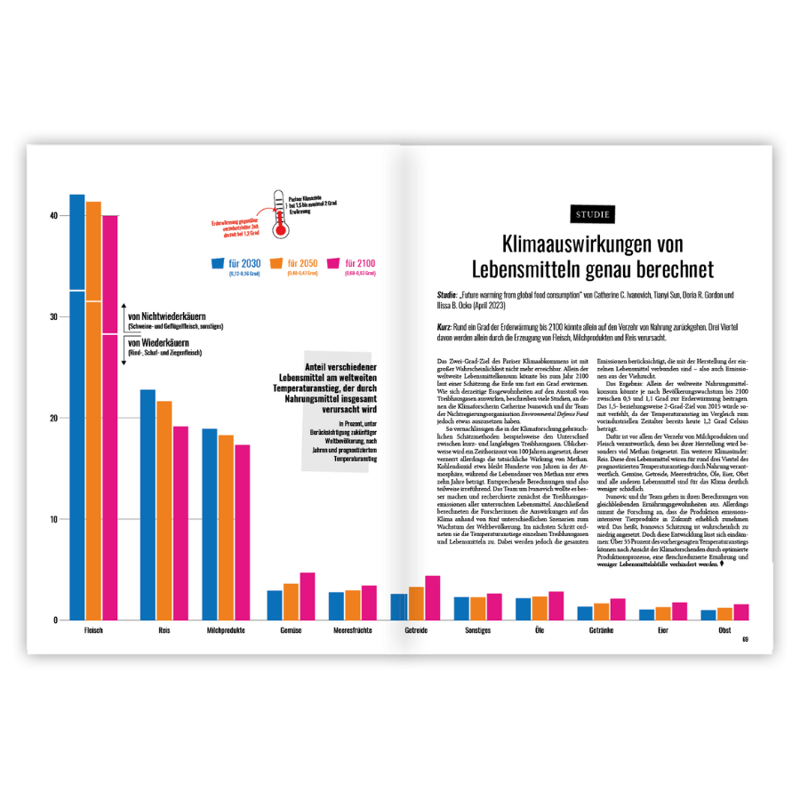 Katapult Ausgabe 30 Artikel