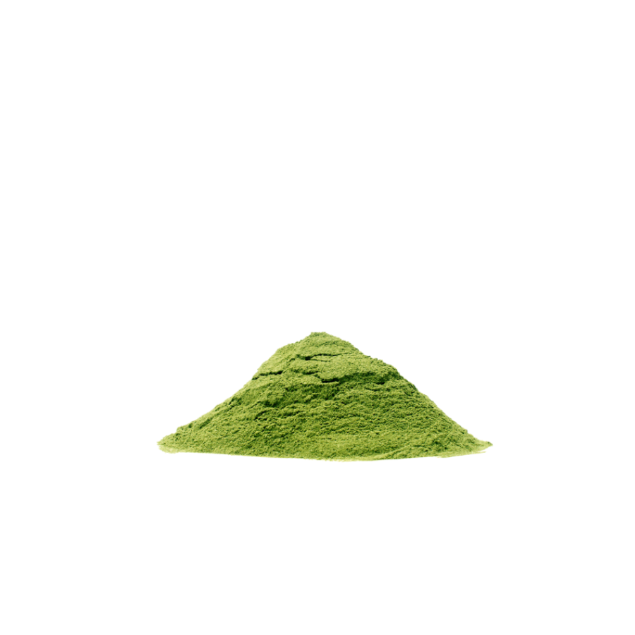Moringa Pulver Häufchen