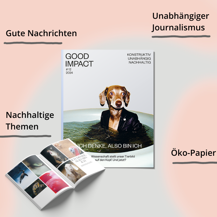 Cover of Good Impact magazine #12 with dog in water, featuring themes of sustainable journalism and animal rights.