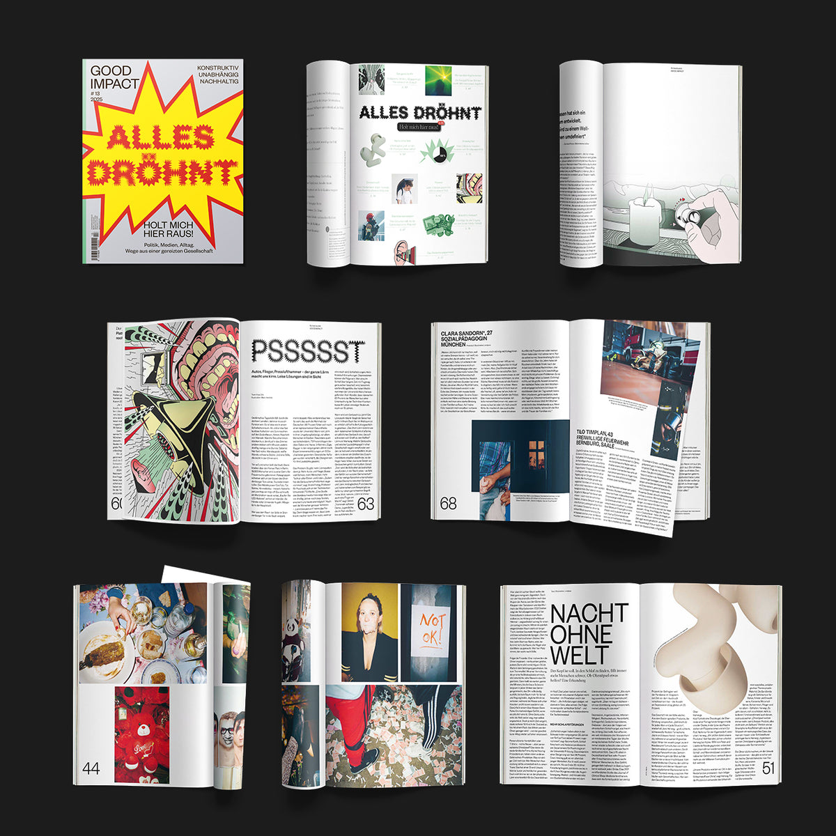 Cover and pages of 'Alles dröhnt' digital edition showcasing articles and illustrations.