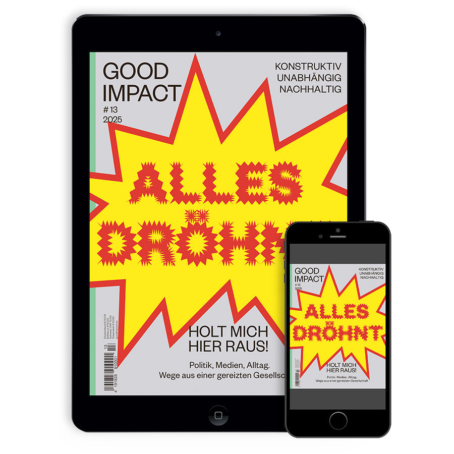 #13 – Alles dröhnt. Holt mich hier raus! (digitale Ausgabe)