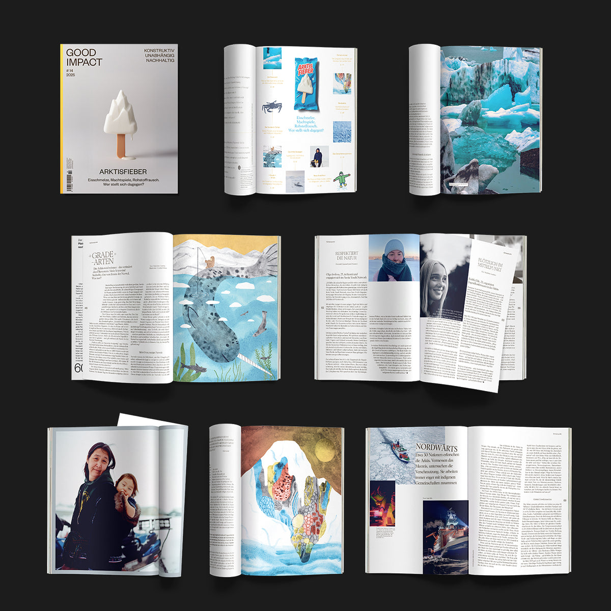 #14 – Arktisfieber (digitale Ausgabe)