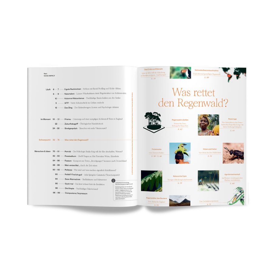 #3 – Was rettet den Regenwald?