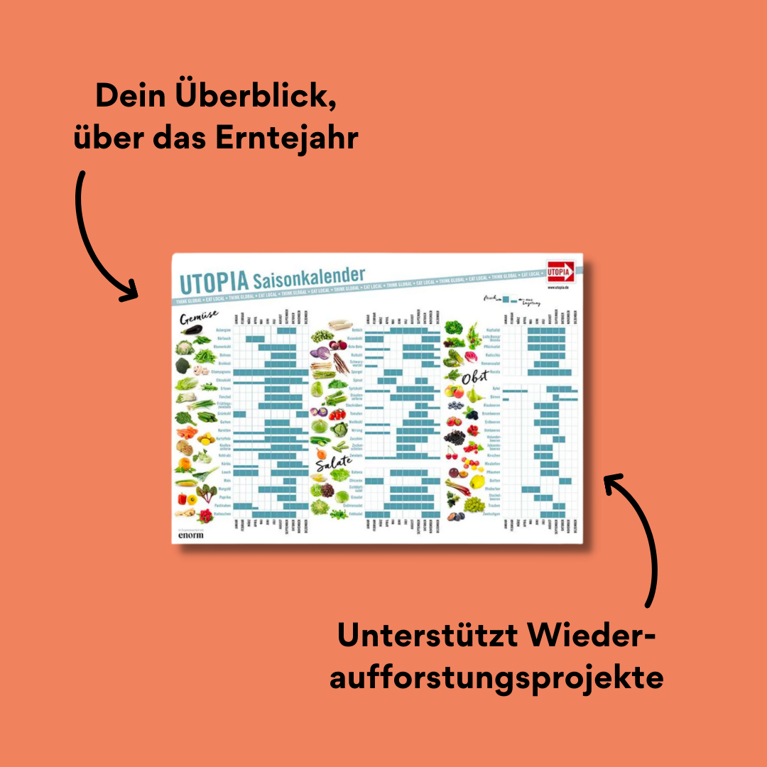 Vorderseite des Kalenders mit Impact