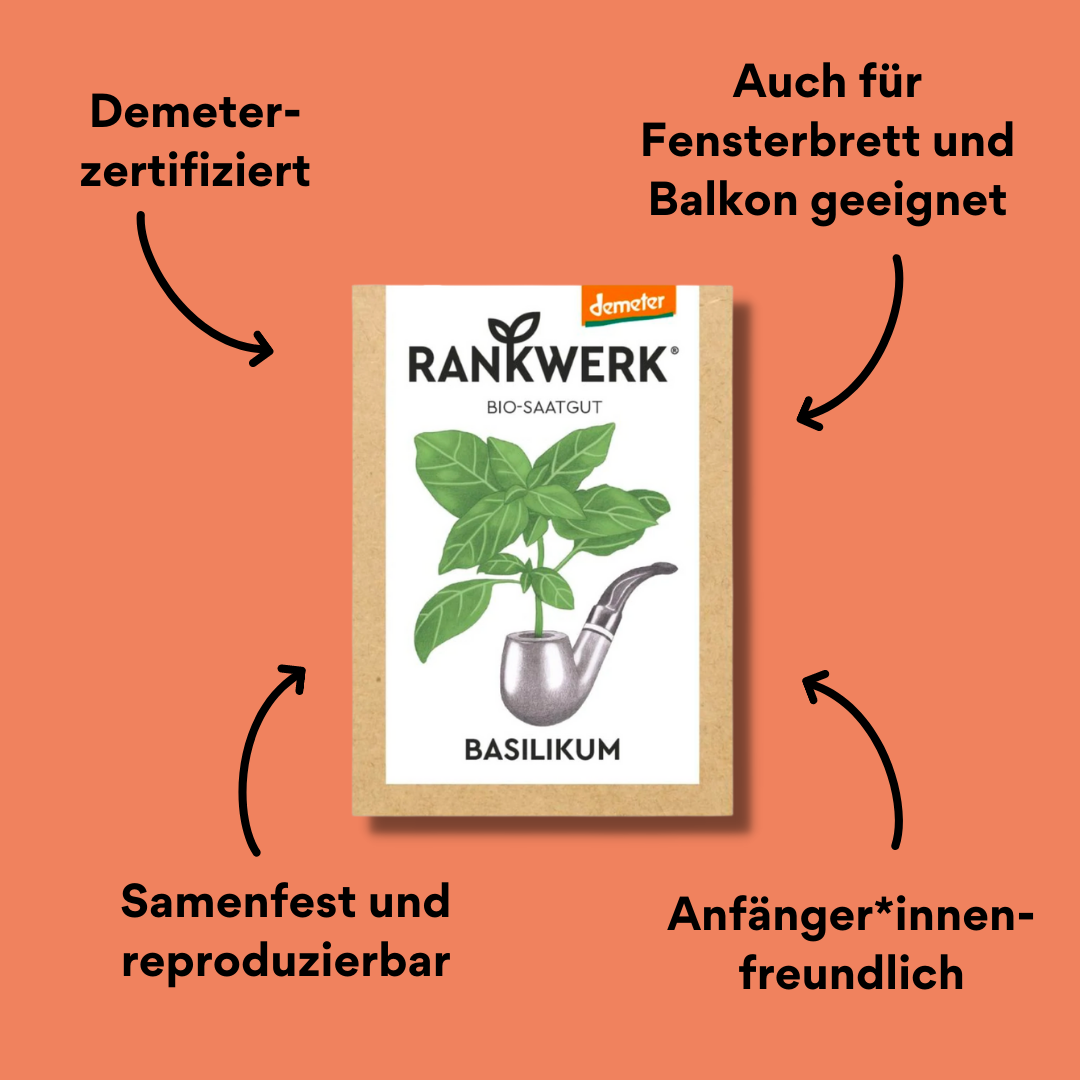 Rankwerk Saatgut Basilikum mit Impact