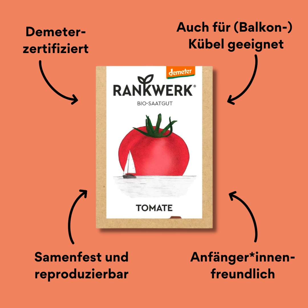 Rankwerk Saatgut Tomate bio mit Impact