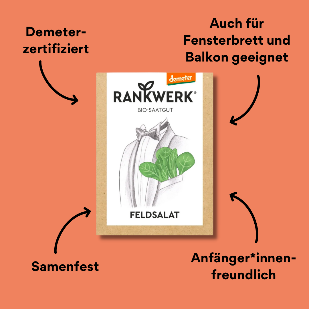 Saatgut Feldsalat mit Impact