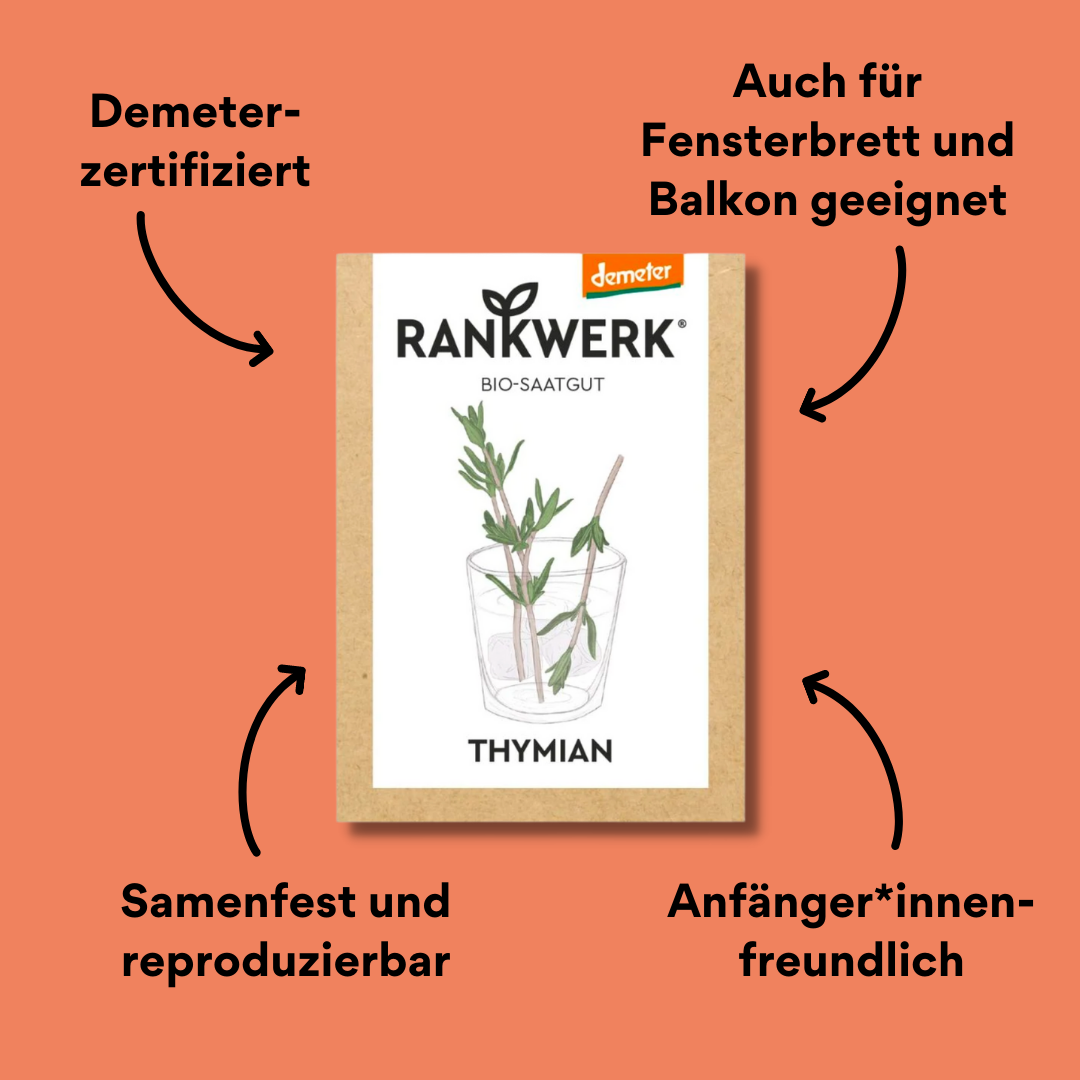 Rankwerk Saatgut Thymian mit impact