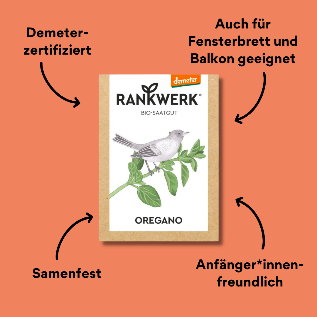 Rankwerk Saatgut Oregano mit Impact