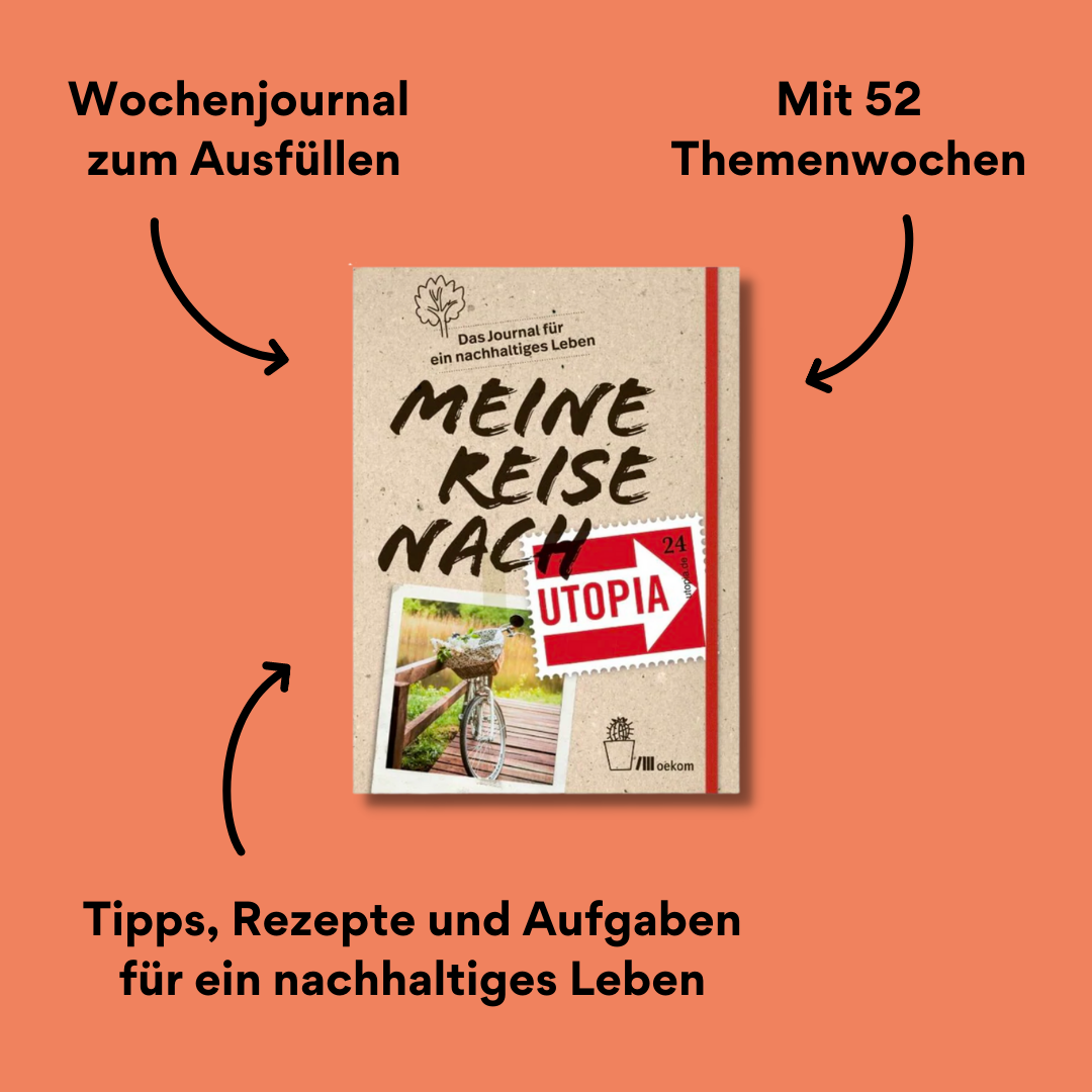 Meine Reise nach Utopia Cover mit Impact