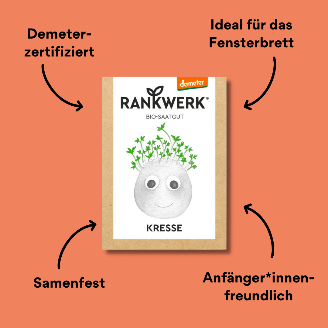 Rankwerk Saatgut Kresse mit Impact