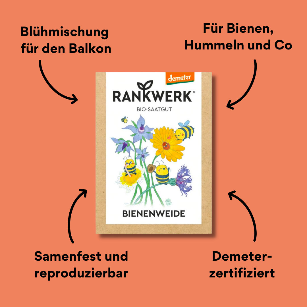 Rankwerk Saatgut Bienenweide mit Impact
