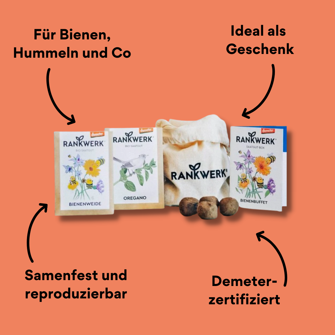 Saatgut Box Bienenbuffet Inhalt mit Impact