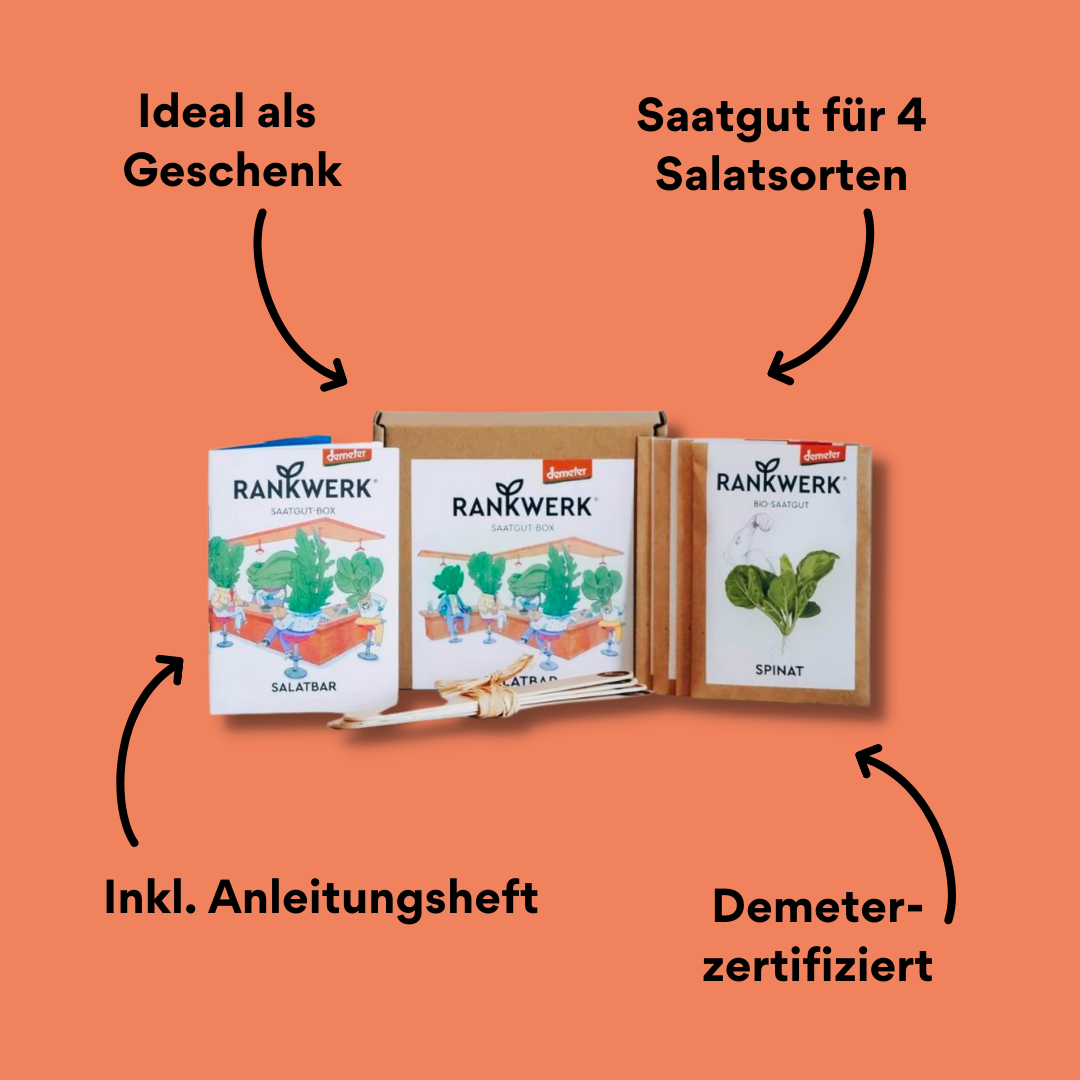 Saatgut Box Salatbar mit Impact