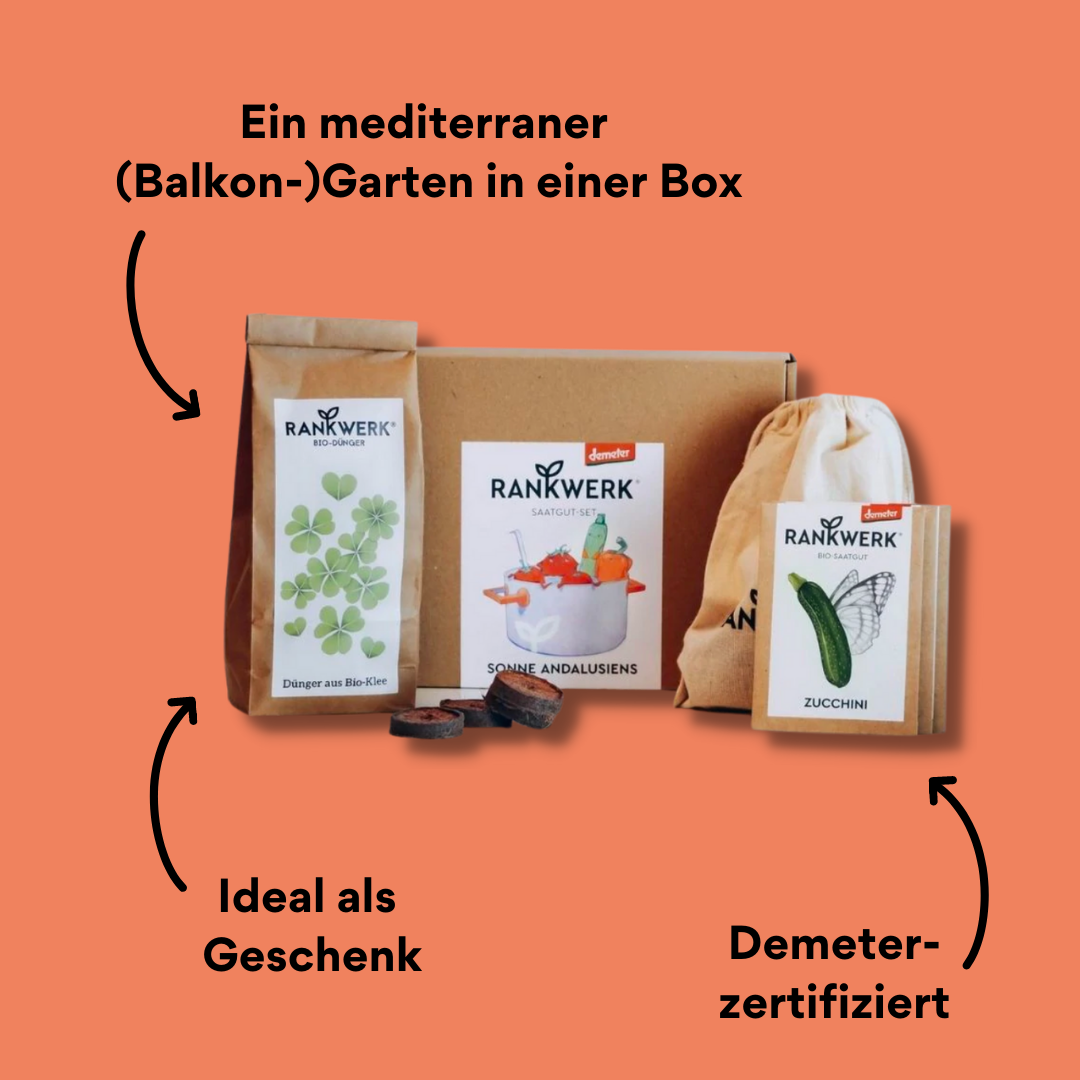 Saatgut Paket Sonne Andalusiens Inhalt mit Impact