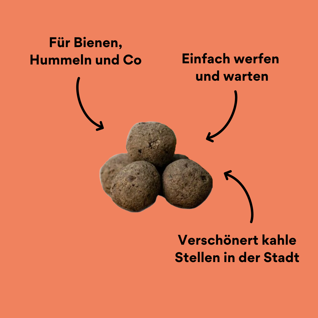 Rankwerk Seedbombs mit Impact