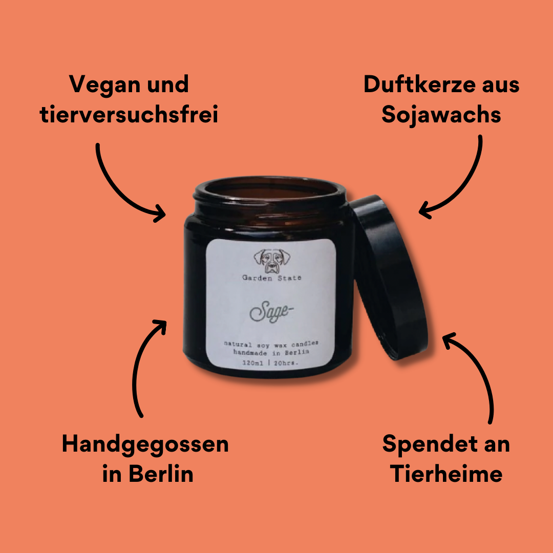 Kerze Salbei 120ml mit Impact