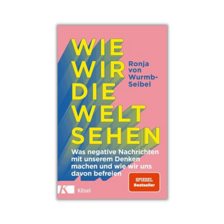 Buch: Wie wir die Welt verstehen