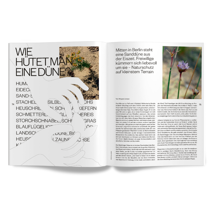 enorm Magazin Mission Artenrettung Innenansicht