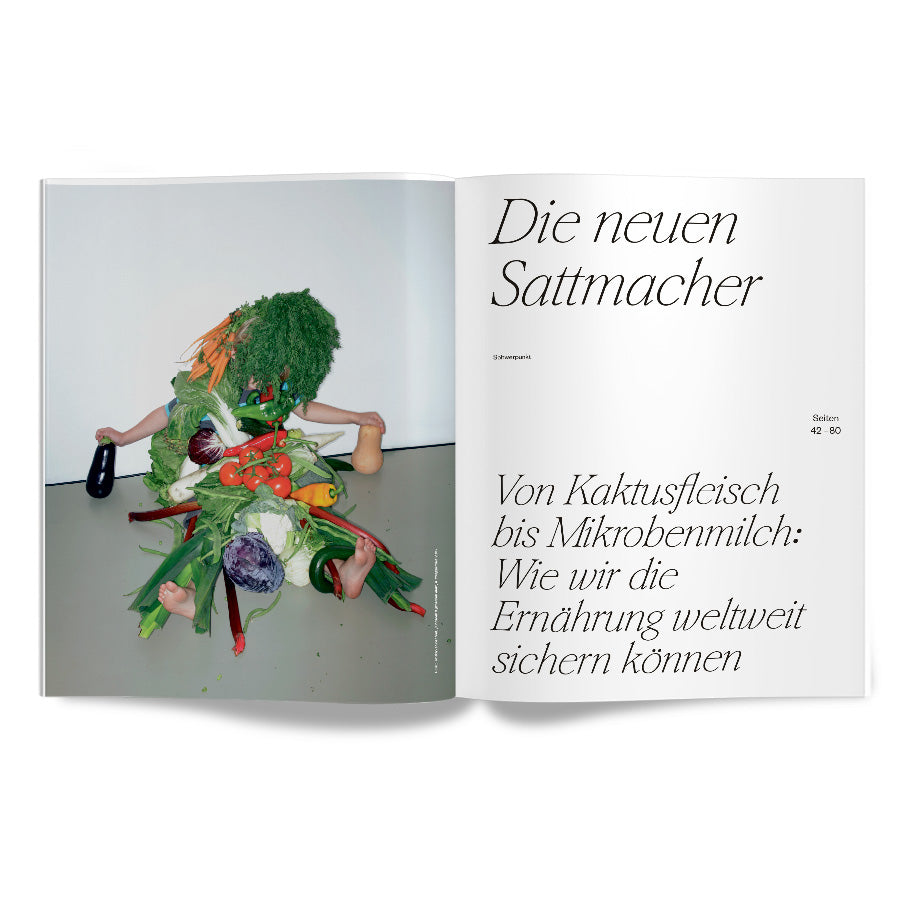 enorm Magazin Die neuen Sattmacher Innenansicht S. 40