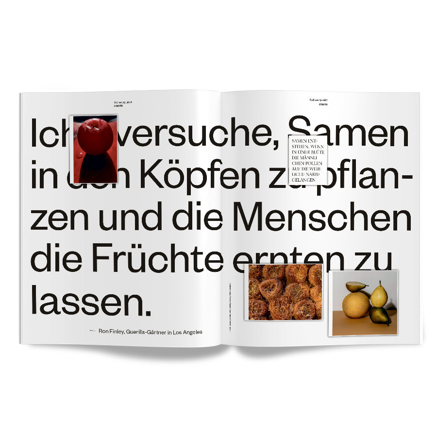 enorm Magazin Die neuen Sattmacher Innenansicht S. 58