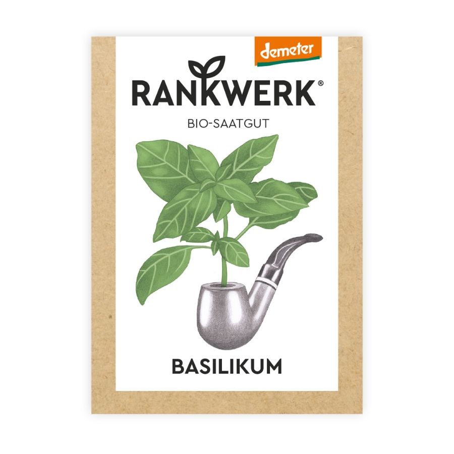 Rankwerk Saatgut Basilikum