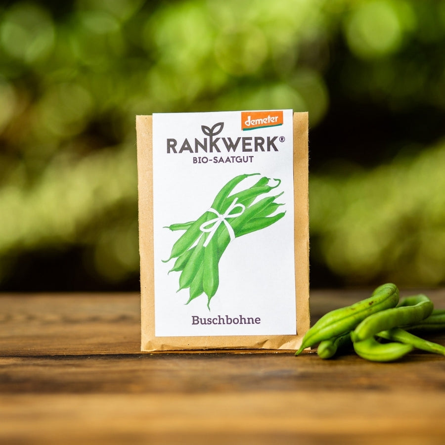 Saatgut Buschbohne von Rankwerk