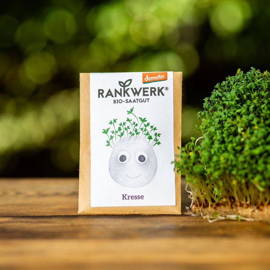 Rankwerk Einfache Kresse