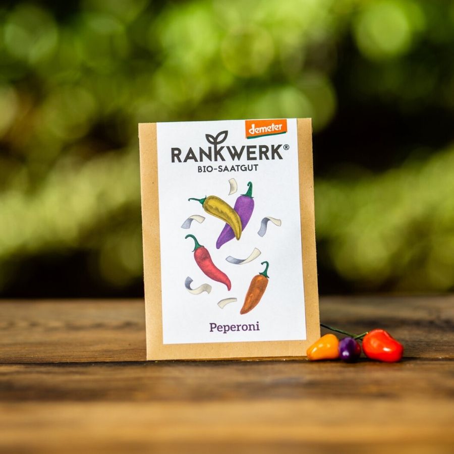 Rankwerk Peperoni Lila Luzi bunte Mischung