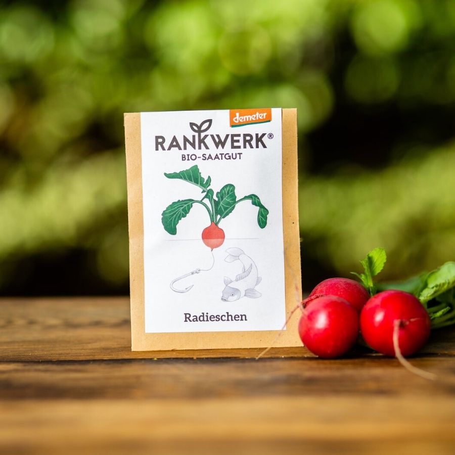 Rankwerk Pflegeleichtes Radieschen Sorte Rudi