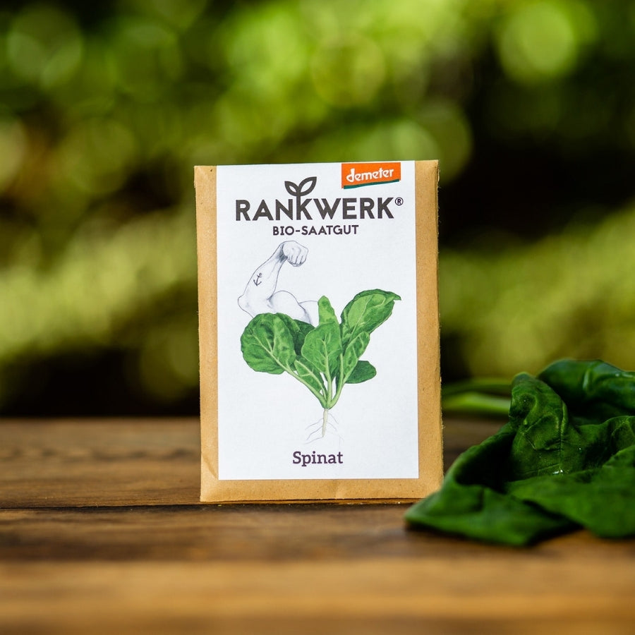 Saatgut Spinat von Rankwerk