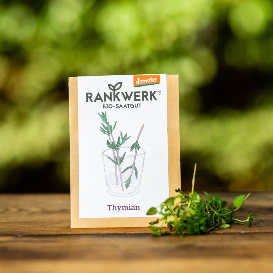 Rankwerk Thymian "Deutscher Winter"